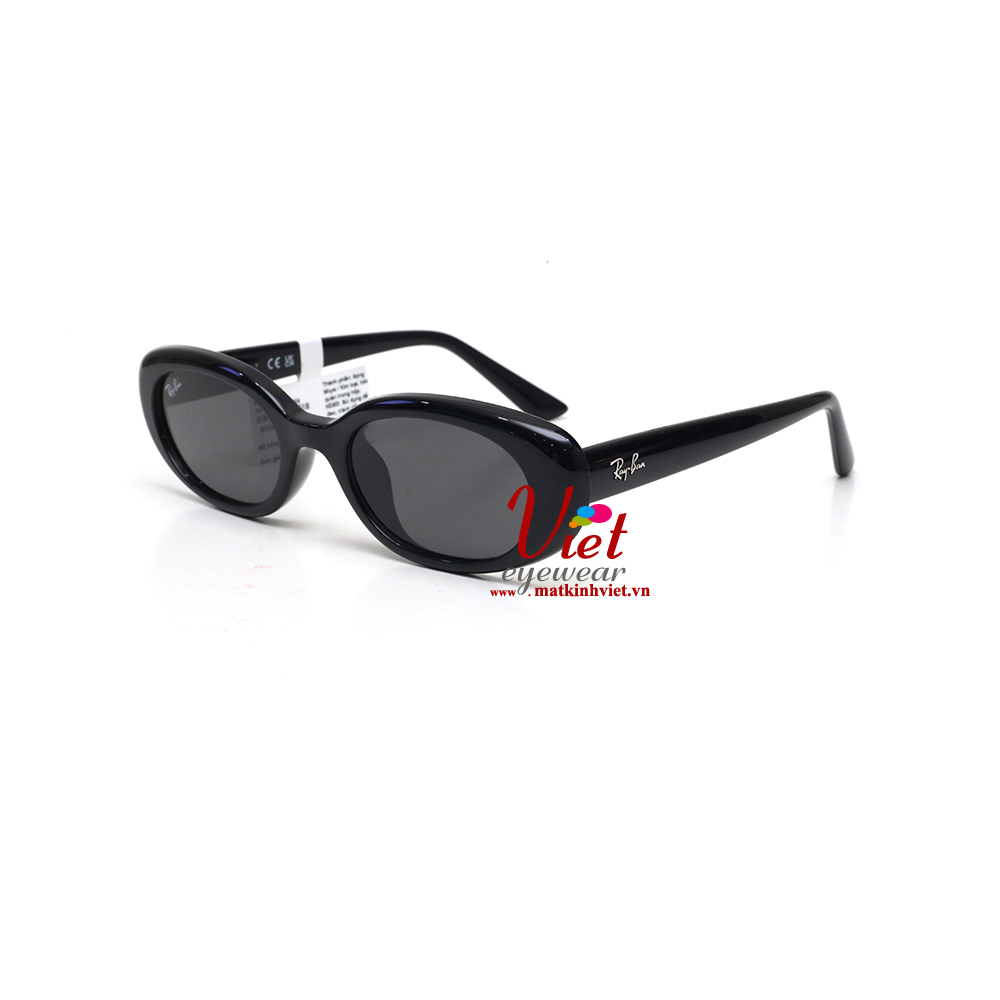 Kính mát RayBan RB4441D 6677/87